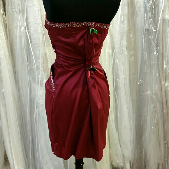 NWT Raspberry Pocket Dress - Picture 4 of 6